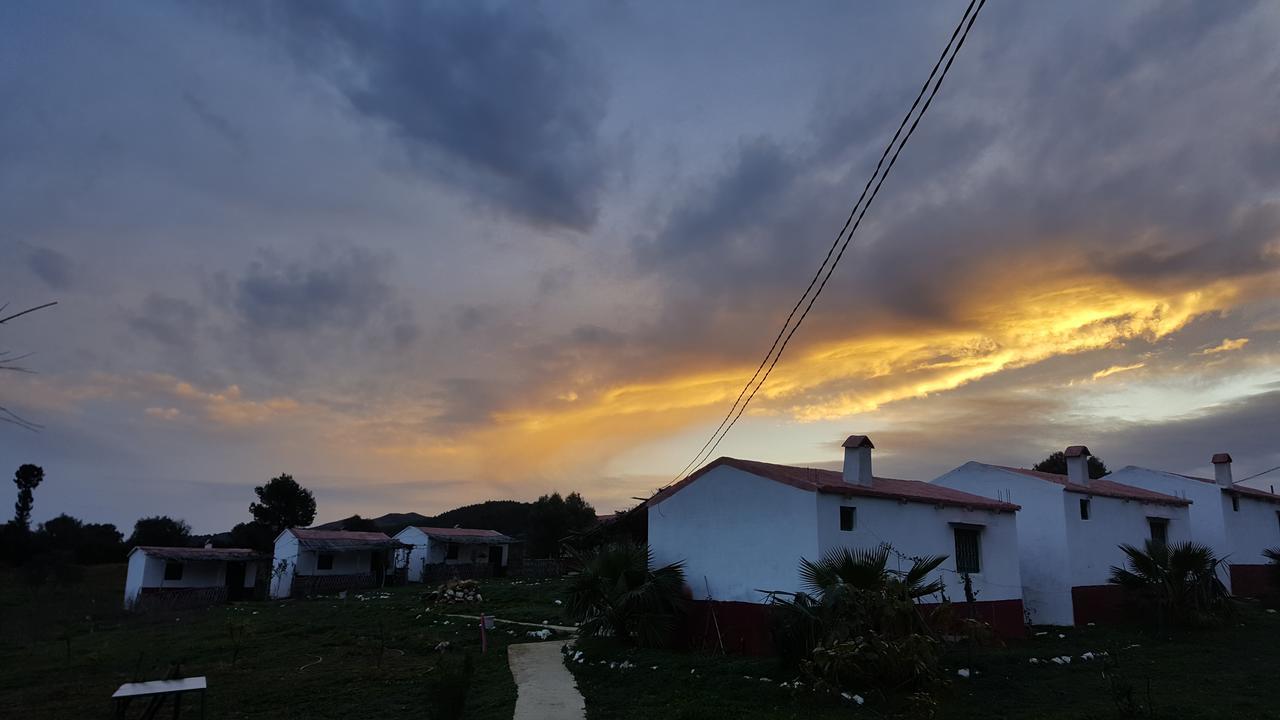 Ferma Jebala Ecolodge Kitane Zimmer foto